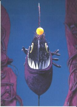 Finn Flosse räumt das Meer auf (Postkarte)